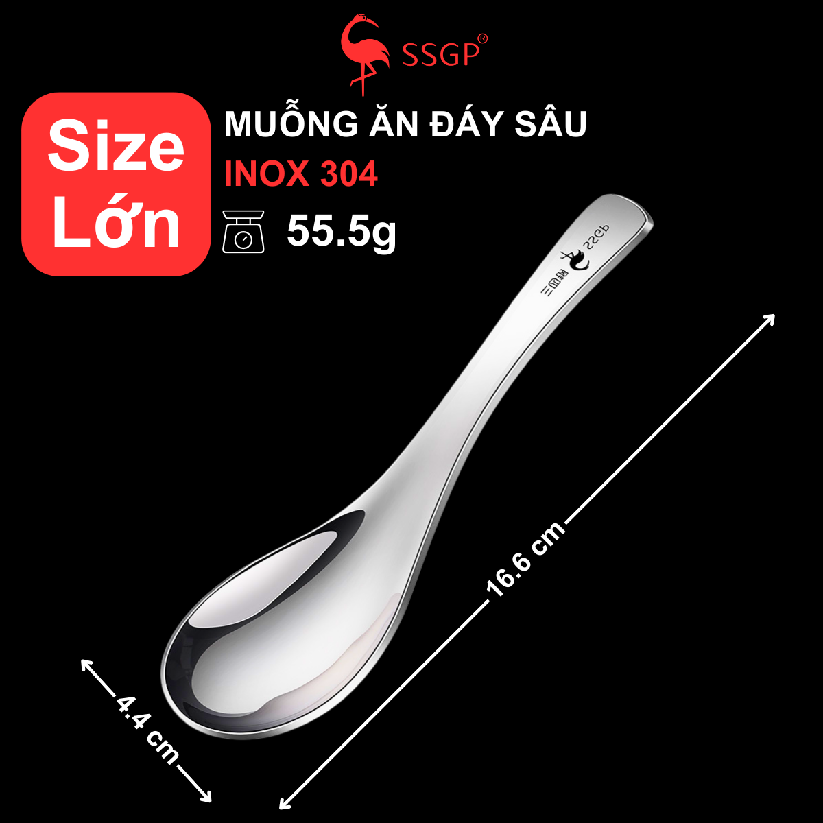 Muỗng Inox 304 Đáy Sâu SSGP, Thìa Inox 304, Muỗng Ăn Cơm Inox - Hình ảnh 2