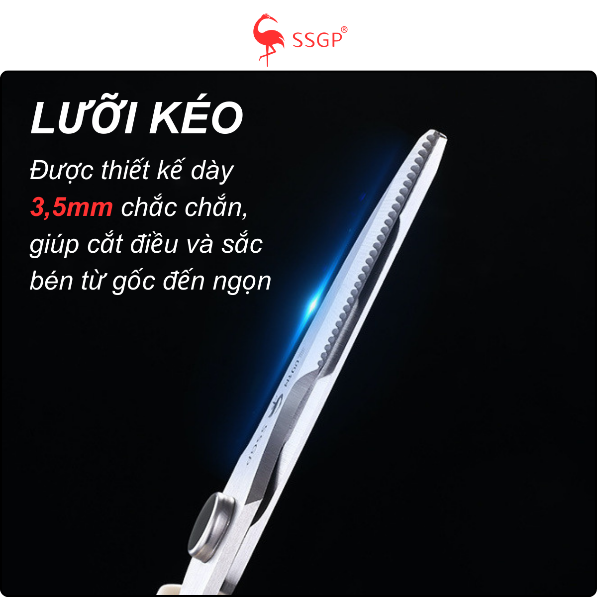 Kéo Làm Bếp SSGP, Kéo Bếp Đa Năng Frankfurt cao cấp, kéo bếp, kéo nấu ăn, Kéo nhà bếp, kéo cắt gà - Hình ảnh 5